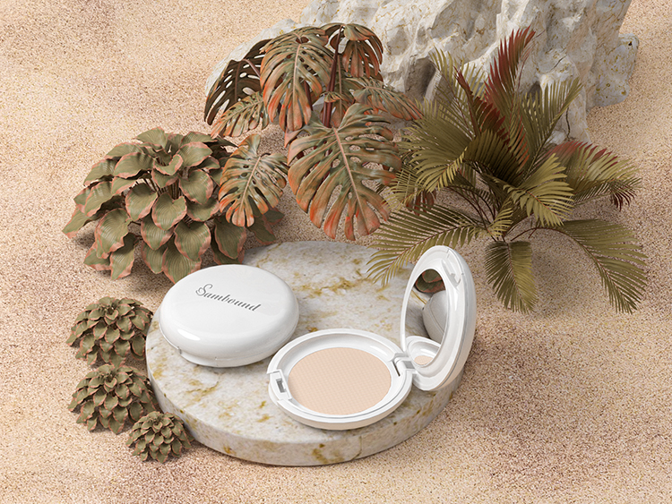 化妝品的包裝粉餅盒注塑